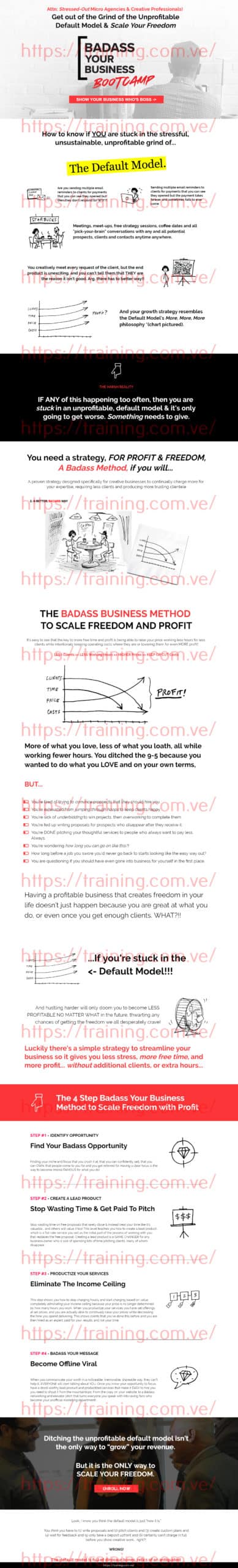 #042 - 'Badass Your Business Bootcamp Special Offer - current agency offer' - www_badassyourbusiness_com Badass Your Business Bootcamp by Pia Silva Buy