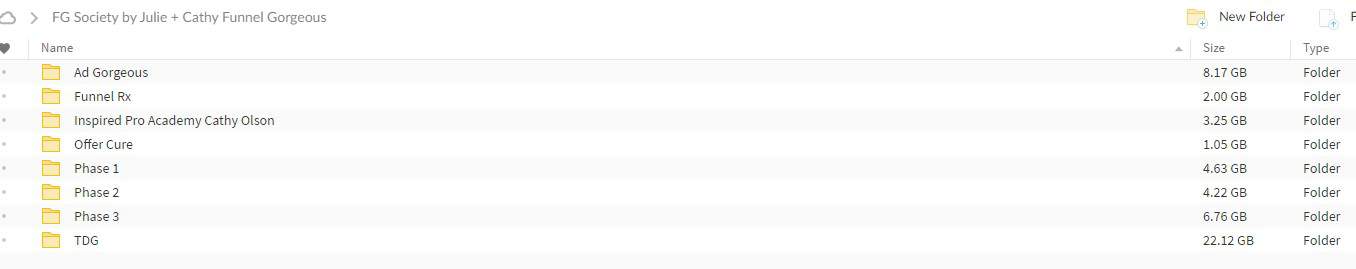 Screenshot_18 FG Society Certification by Julie + Cathy Funnel Gorgeous torrent