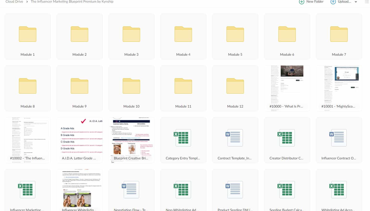 The Influencer Marketing Blueprint Premium by Kynship torrent The Influencer Marketing Blueprint Premium by Kynship torrent