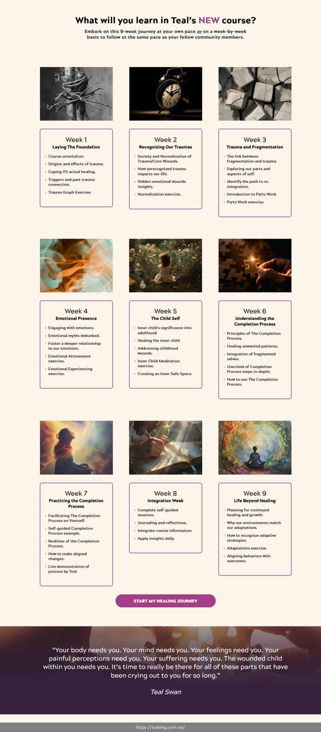 the completion process by teal swan coupon discount free the completion process by teal swan coupon discount free